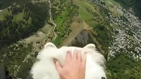 Cloud boi goes for a ride ✈️☁️