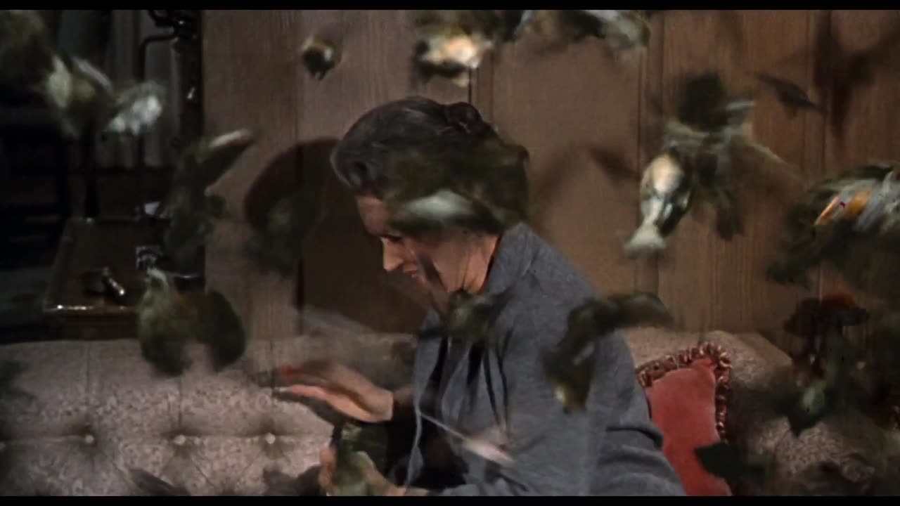 The Birds (1963) - The Birds Invade Through the Chimney Scene | Movieclips001