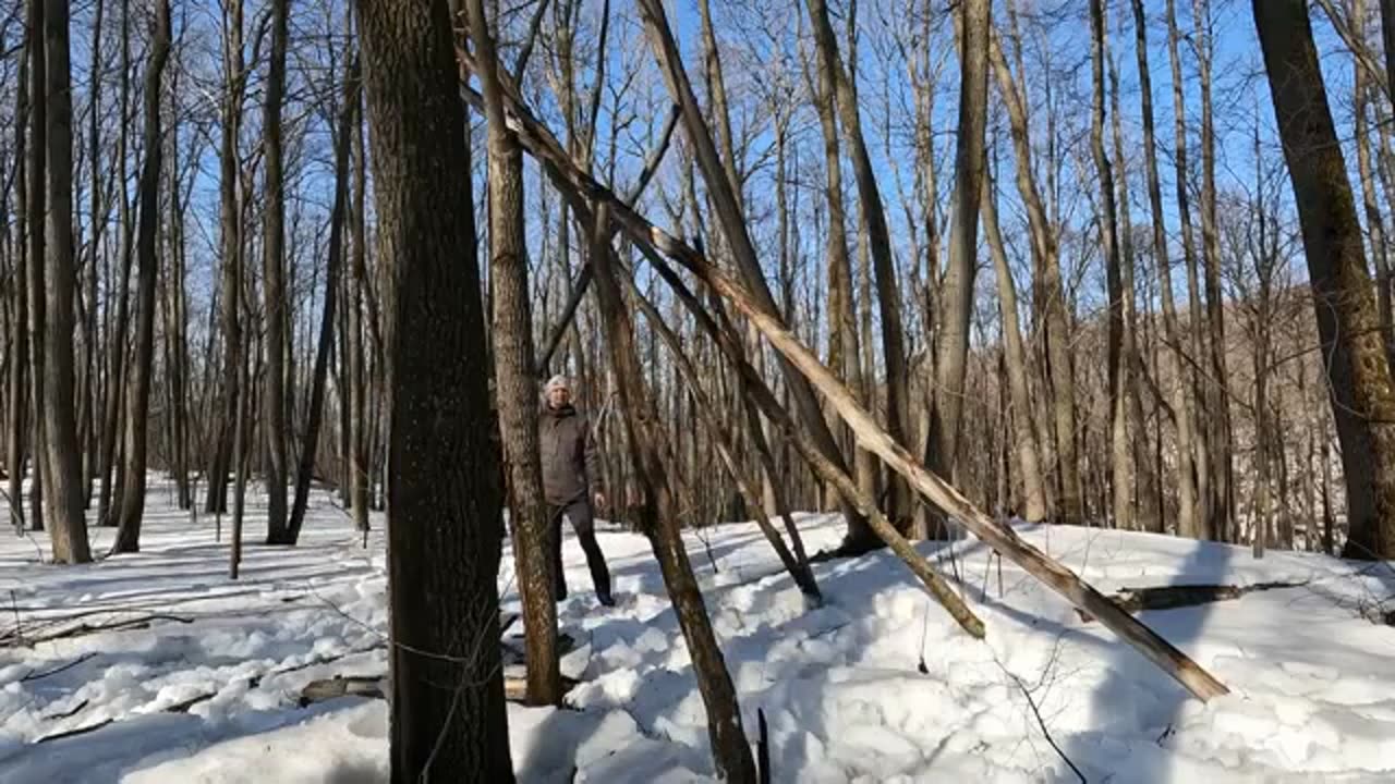 HOT STRETCH Shelter in a snowy forest, cooking a SPECIAL scrambled egg