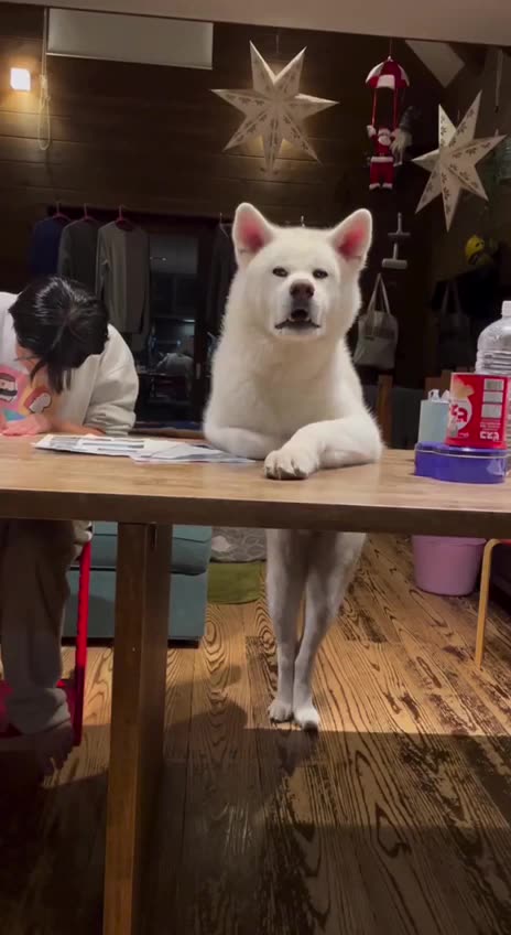 What does one have to do to get service around here 😂