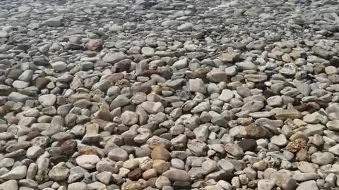 Peaceful enjoyable moment at the lake