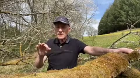 Man muss mit der Angst spielen um die Schafe folgsam zu machen _ geht das auch mit Menschen