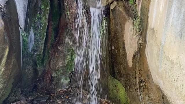 20 Seconds of Bliss (Madera Canyon Az)