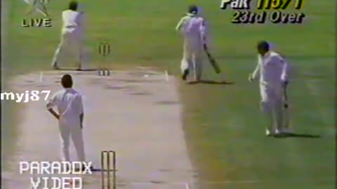 Highlights l FINAL l Pakistan v India l Pepsi Austral-Asia Cup 1994 l PAKISTAN DAY SPECIAL !