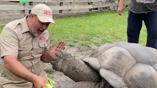 Not everyone gets a high five