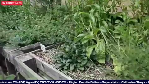 La santé ...ça s'apprend