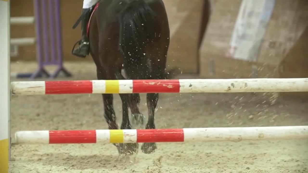 Young rider on black horse galloping at show jumping competition