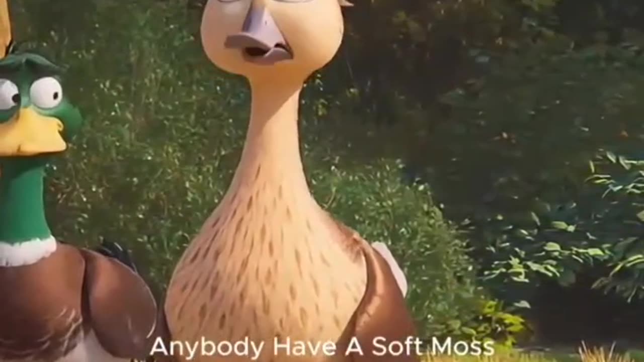Duck funny