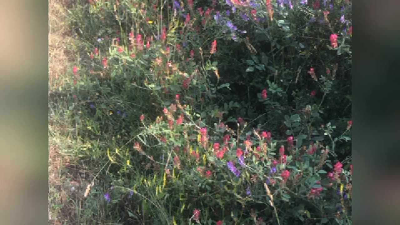 Tagliatelle in fiore - cucina consapevole