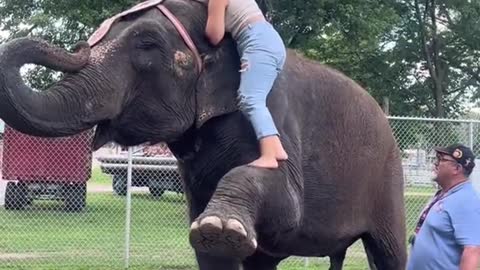 How my girlfriend gets off an elephant