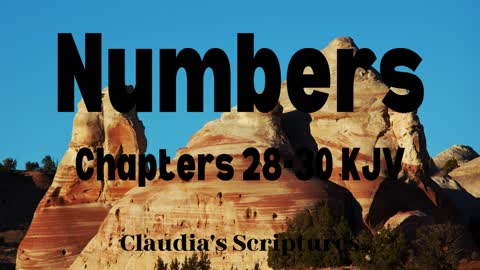 The Bible Series Bible Book Numbers Chapters 28-30 Audio