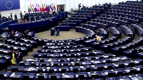 Prosecutor says suspect in EU graft probe to cooperate