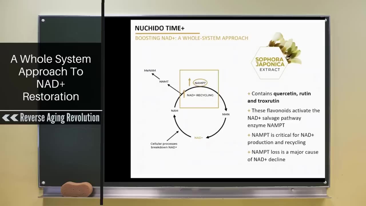 How to restore NAD Levels more effectively