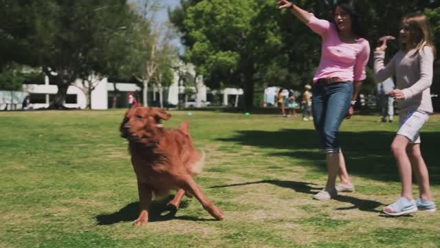 A Woman Training Her Dog