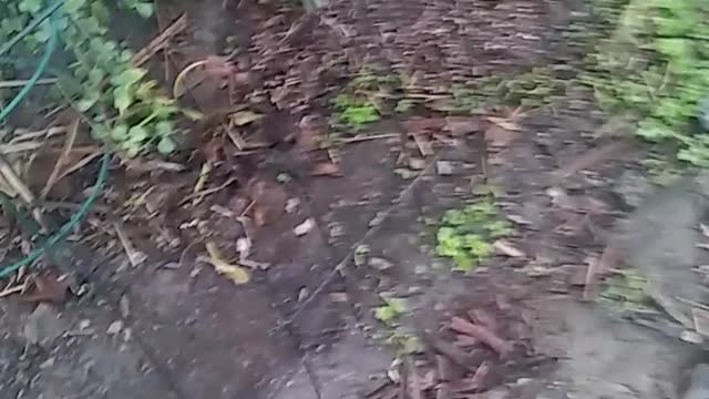 WHEN IT RAINS THE WHOLE DAY