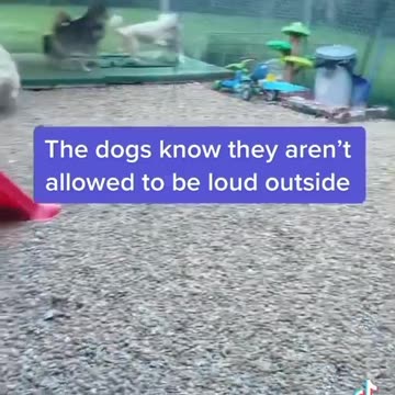 DON'T BE LOUD OUTSIDE