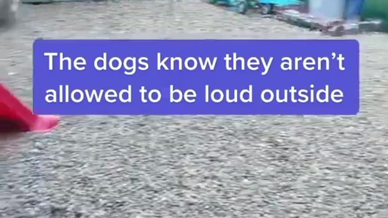 DON'T BE LOUD OUTSIDE