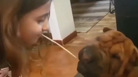 That's my spaghetti! 🤭 Follow
