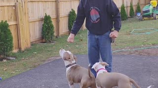 Hi we're Adonis and Athena. We are reviewing the Backing Up Exercise !!