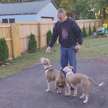 Hi we're Adonis and Athena. We are reviewing the Backing Up Exercise !!