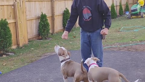 Hi we're Adonis and Athena. We are reviewing the Backing Up Exercise !!