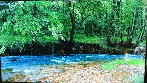 YOU WOMEN WILL SHOOT YOUR SHOT TOWARDS THE ELECT...FACTS!, PT.3