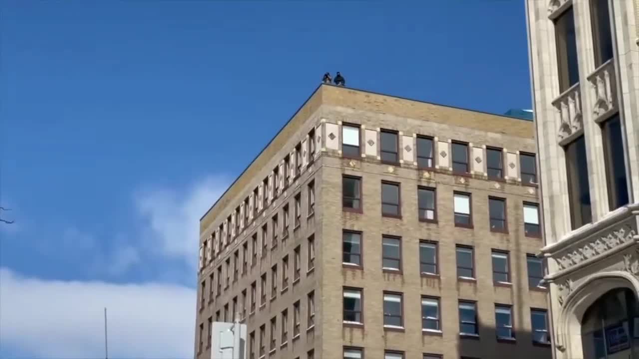 The new normal everyone