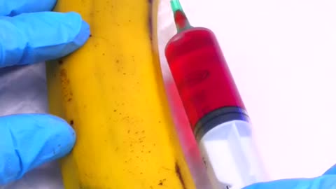 Banana is alive Needs surgical operation Save berry