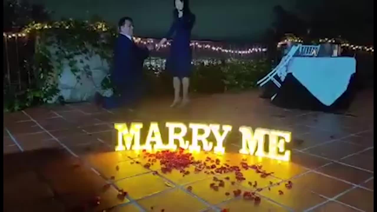 00:47 Giant bear interrupts wedding proposal in wild moment caught on video