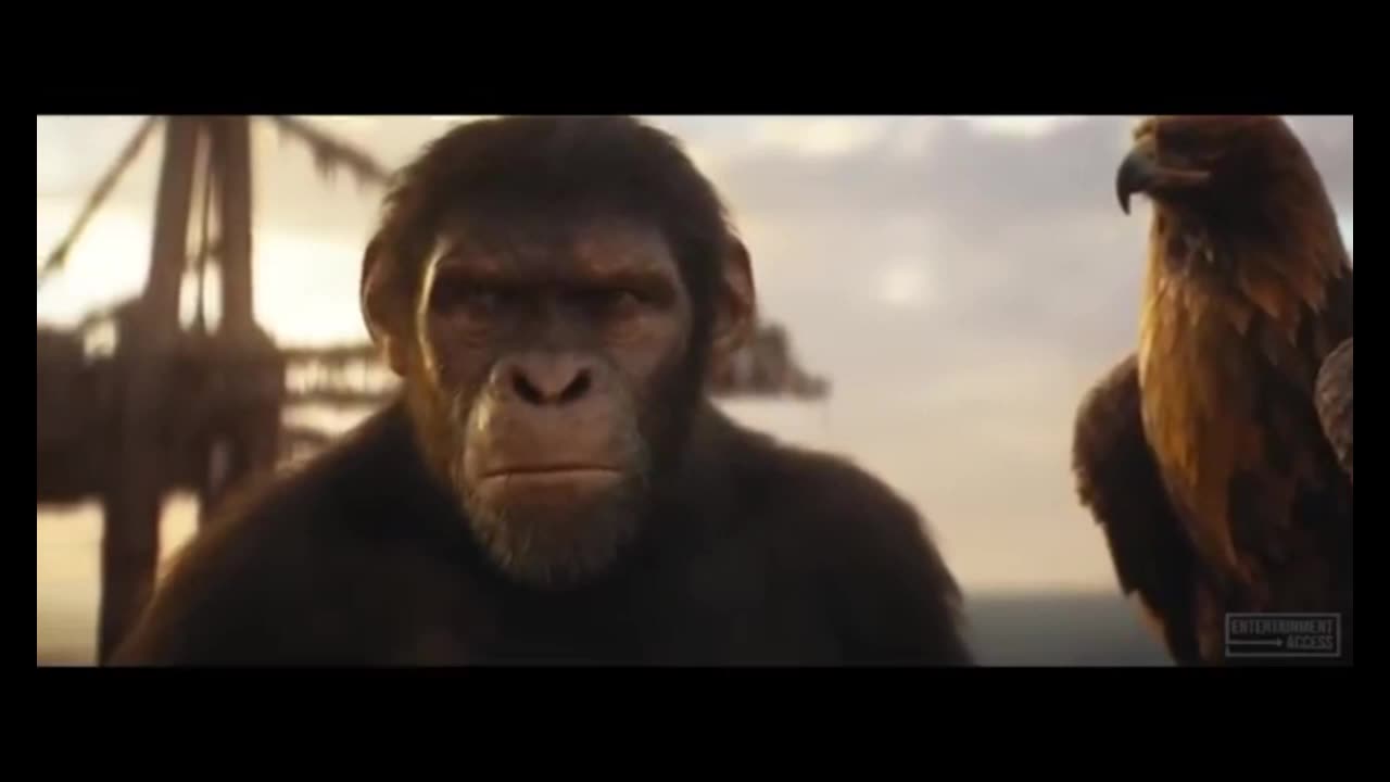 FILM KINGDOM OF THE PLANET OF THE APES