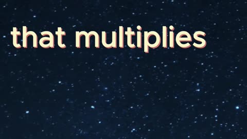 Motivational Quotes