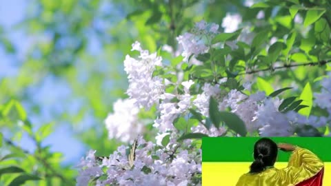 ለወሬኞች ጆሮ አትስጡ | addis dimts | አማራ #addisdimts