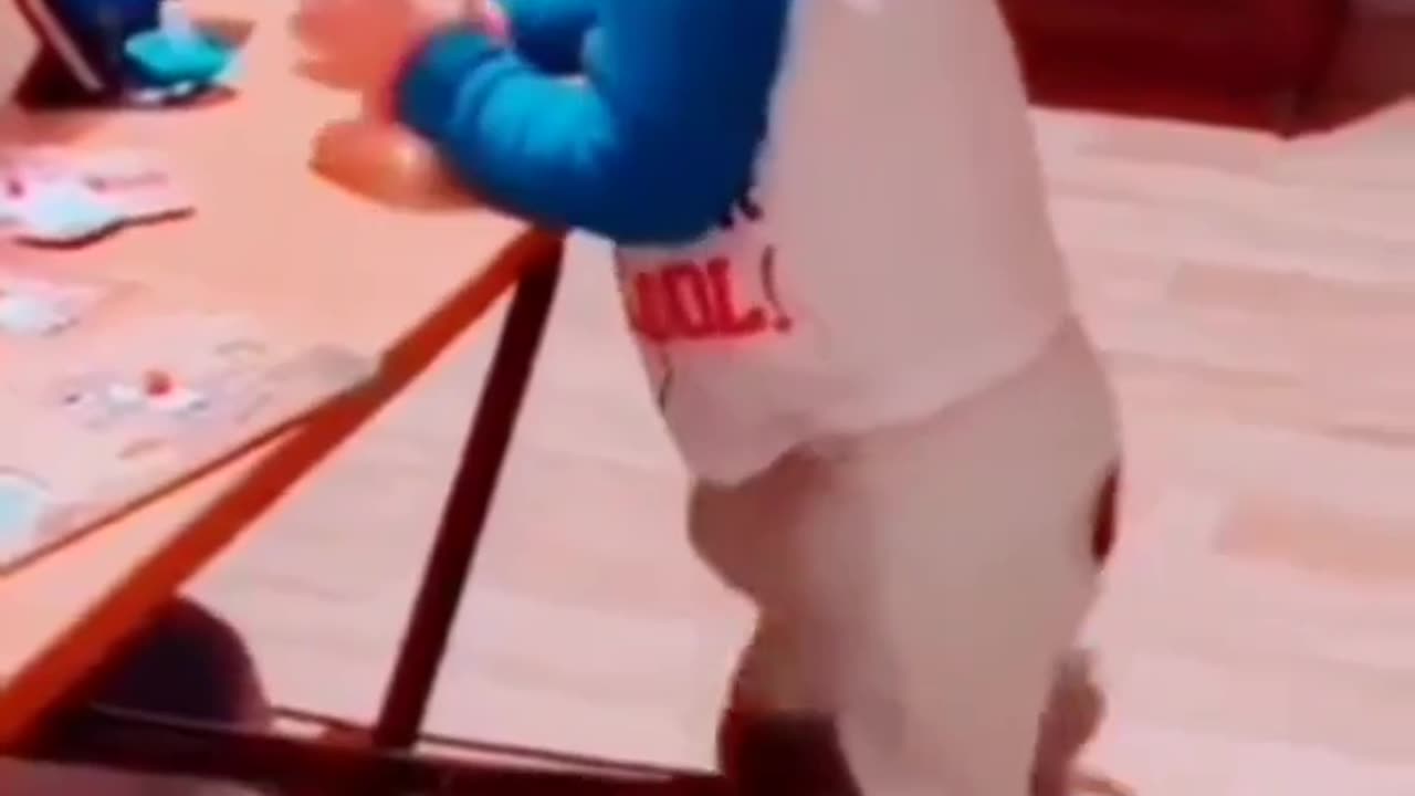 Cat annoying little kid