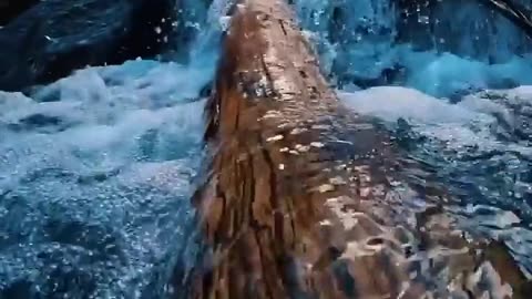 Flying song