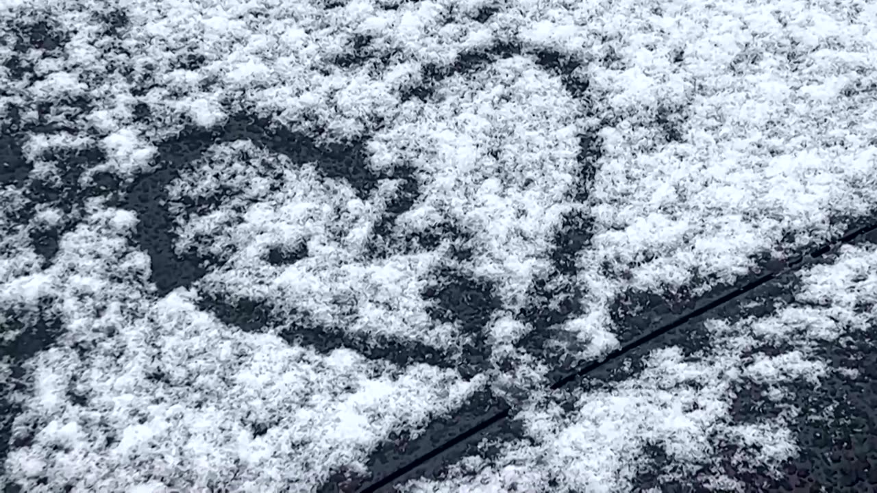 Toronto residents brave a rare 'thundersnow' storm