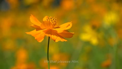 How can Matthew 24:42 guide me