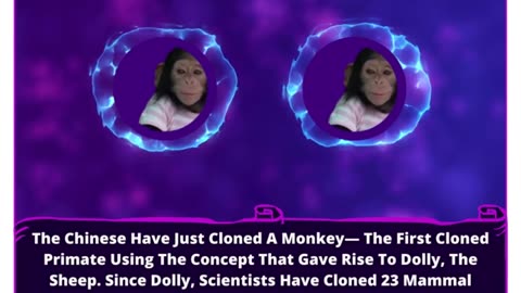 Primate Cloning Breakthrough: Unlocking Nature's Mirror