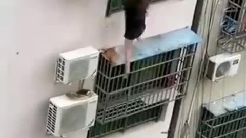 Why You Out There Lady