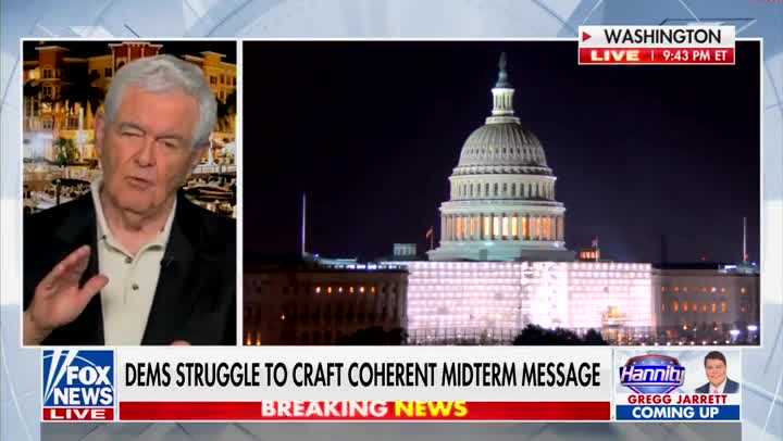 Gingrich: What Planet Does Biden and His Staff Live On?