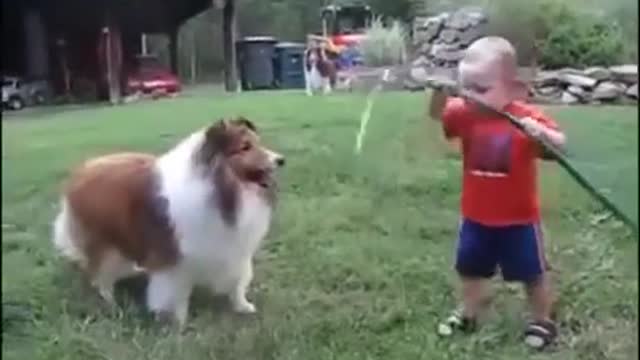 Amazing baby giving dog water