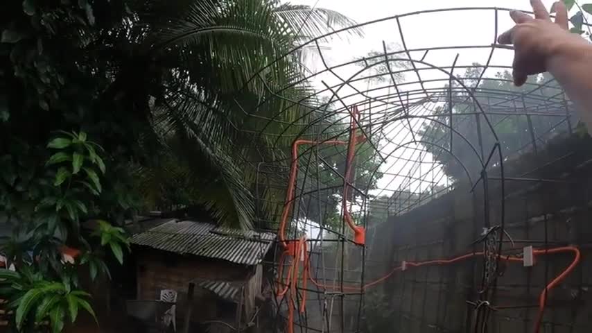 GREAT NEWS I MET SOMEONE