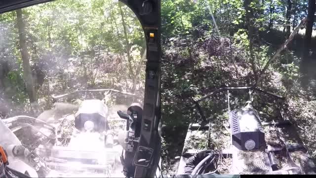 Cutting a new road w/Skid Steer mower through Deep Woods Bobcat T650 & Blue Diamond