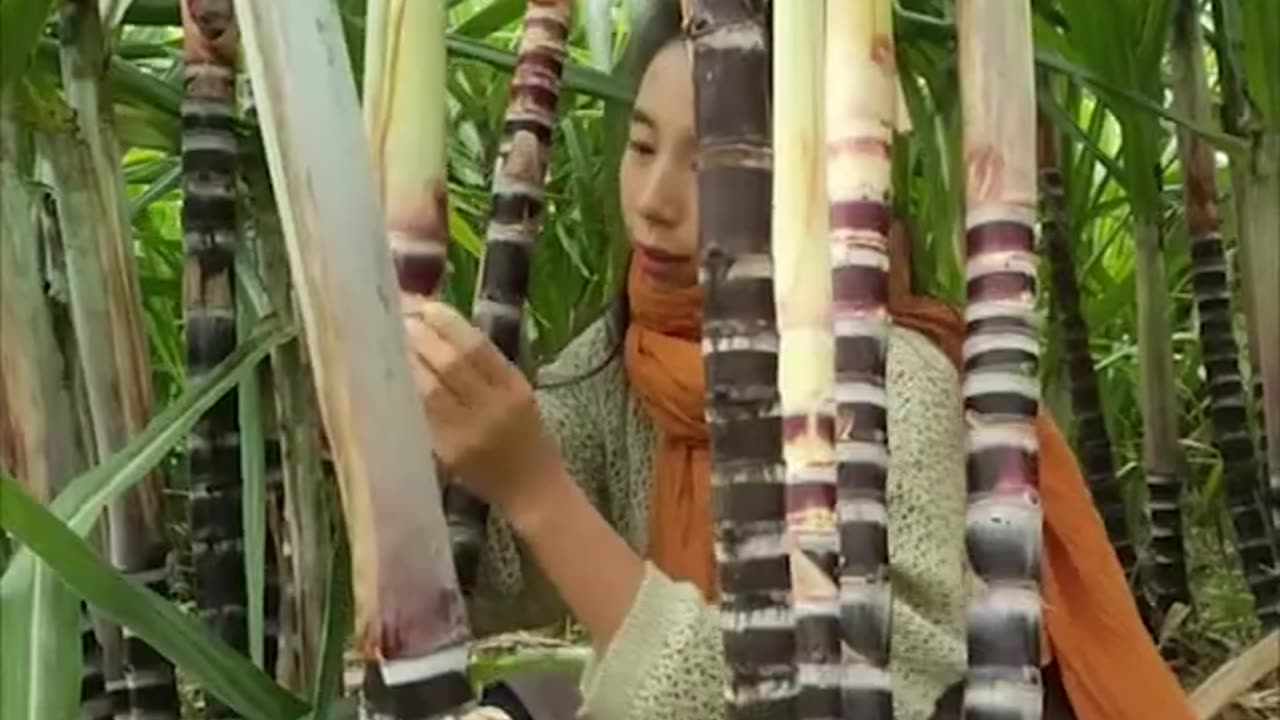 Enjoy beautiful nature with rural life