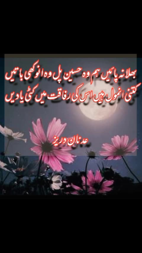 Adnan Durez ka Dewan