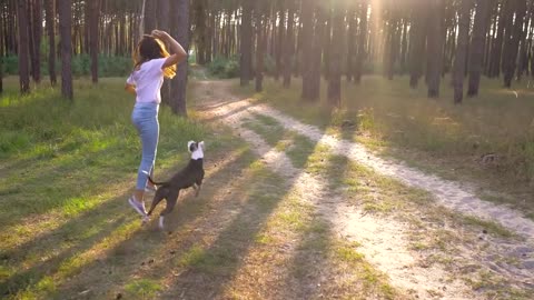 Dog training with enjoy