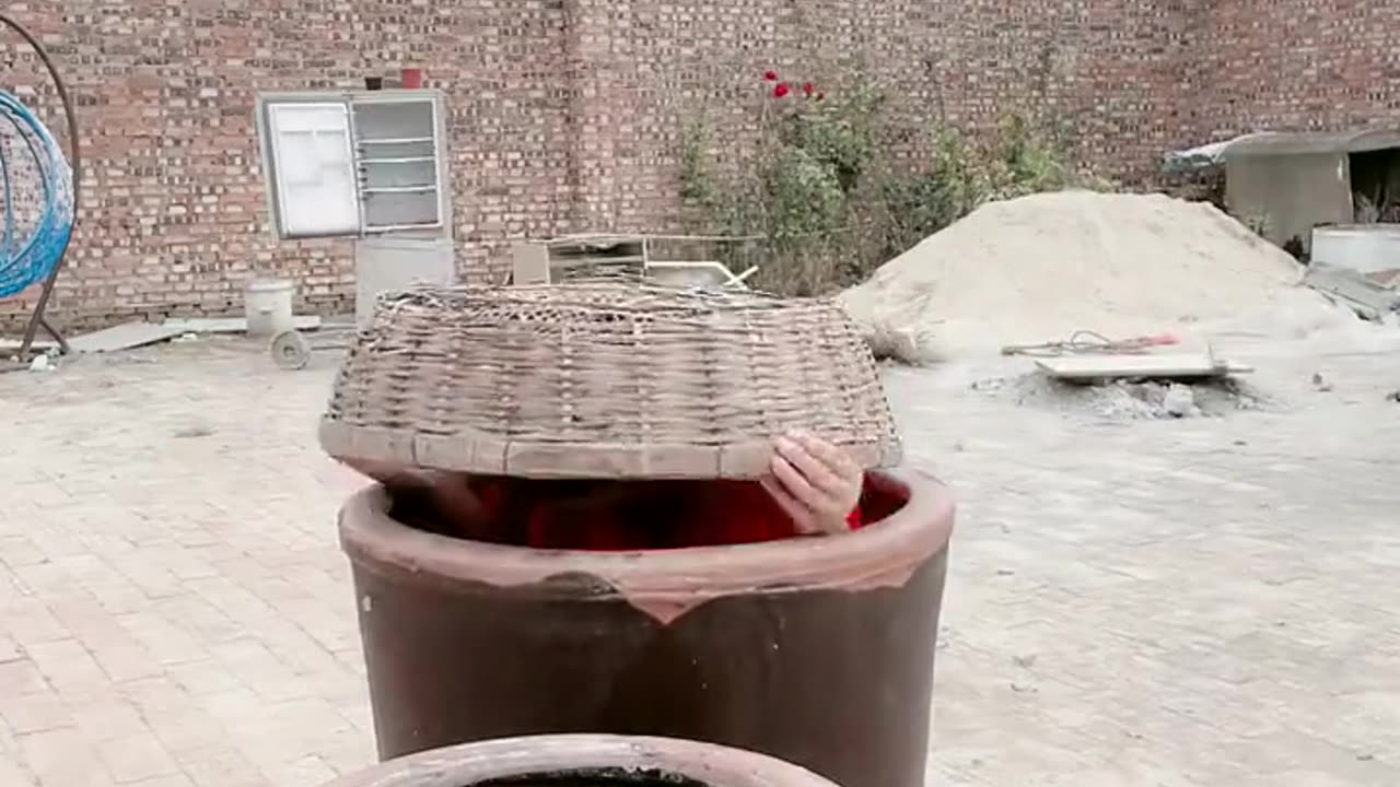 298 #Funny #daily #Shorts #amushorts #rumble #youtube #tiktok #reel #facebook