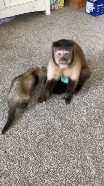 Morning my favorite Frands!!