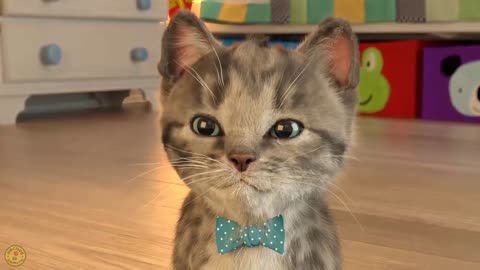 Play Little Kitten My Favorite Cat Pet Care Game