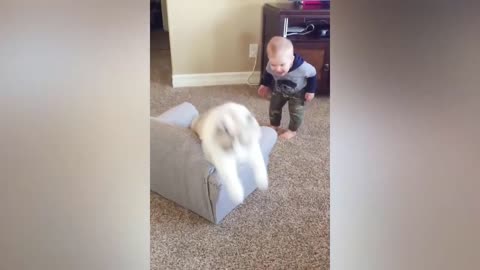 Baby fights with animals