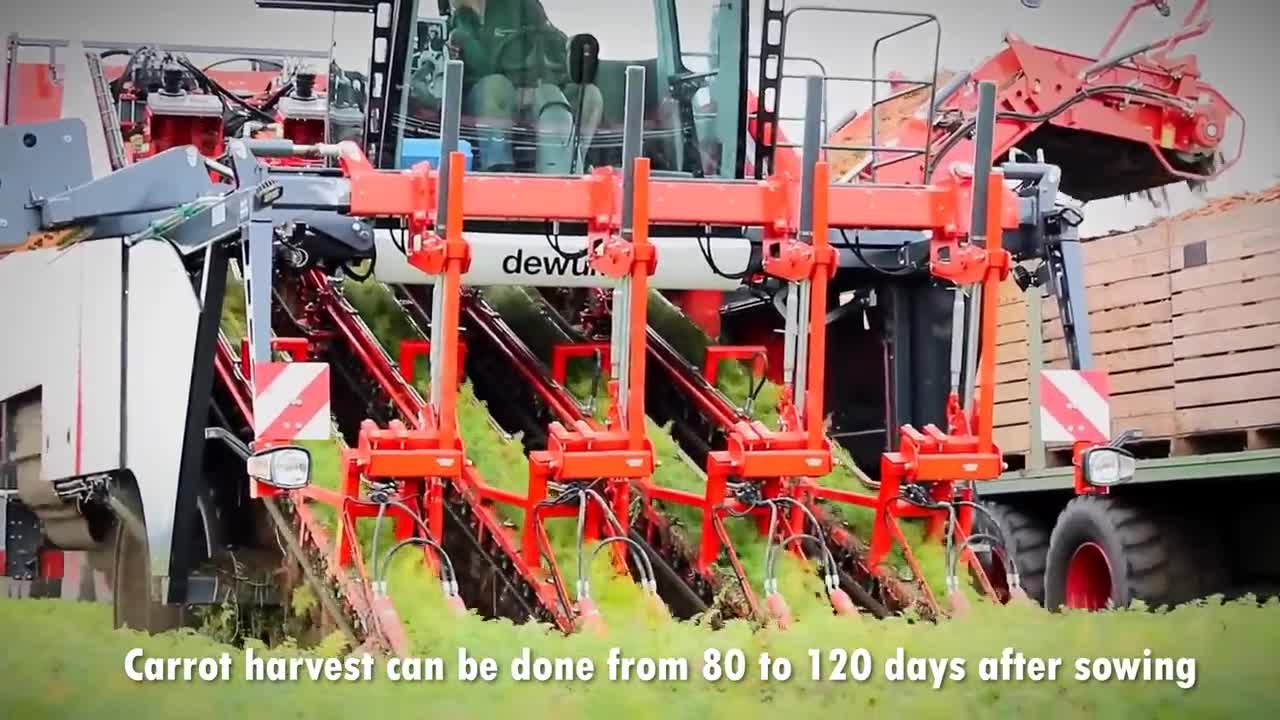 Carrot Juice Making Process | Modern Carrots Harvesting Machine | How Carrot Juice Is Made